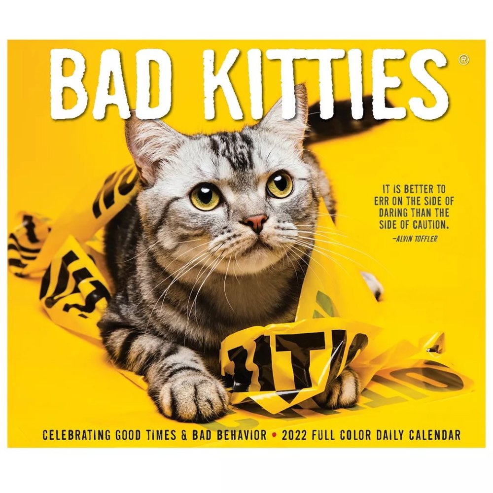 Bad Kitties 2022 Box Calendar Table Decor